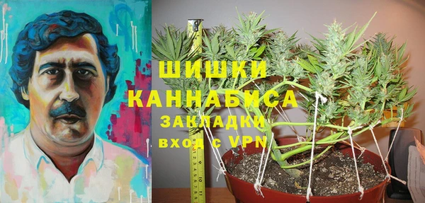 гашик Балахна