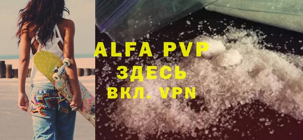 PSILOCYBIN Белокуриха