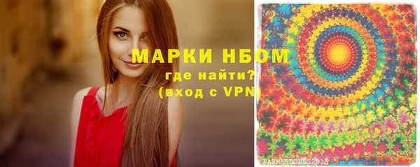 PSILOCYBIN Белокуриха