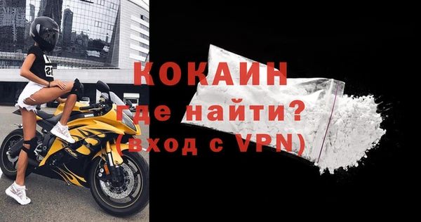 крисы Новокубанск