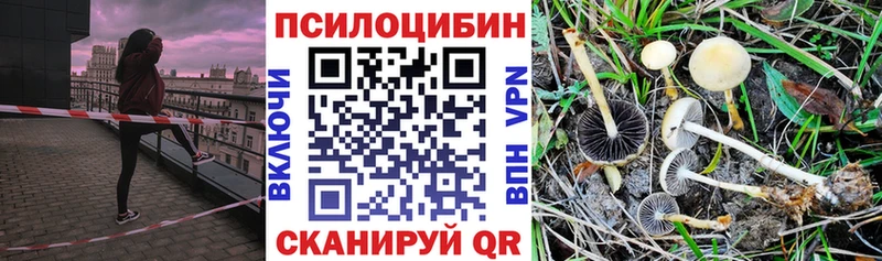 Галлюциногенные грибы MAGIC MUSHROOMS  Богучар 